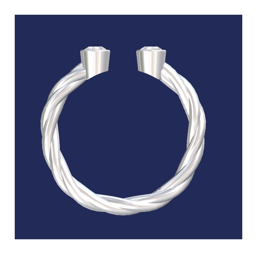 Double Bezel Rope Ring