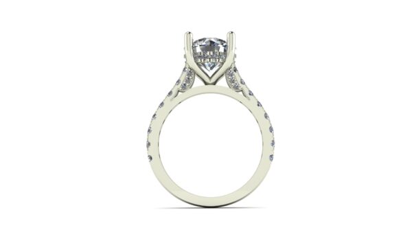 Cathedral Peekaboo Engagement Ring