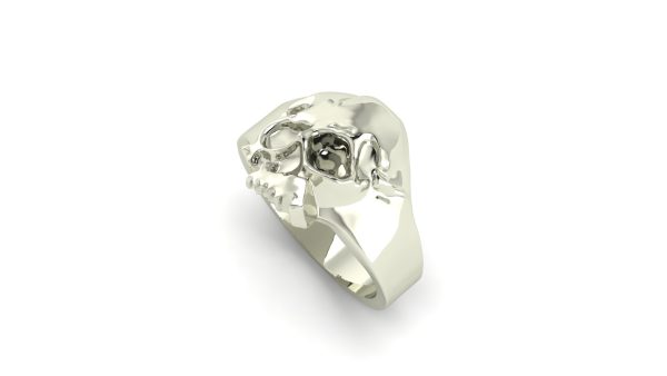 Men's Skull Ring