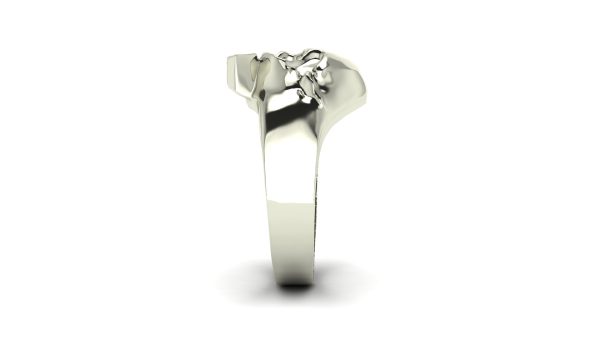 Men's Skull Ring